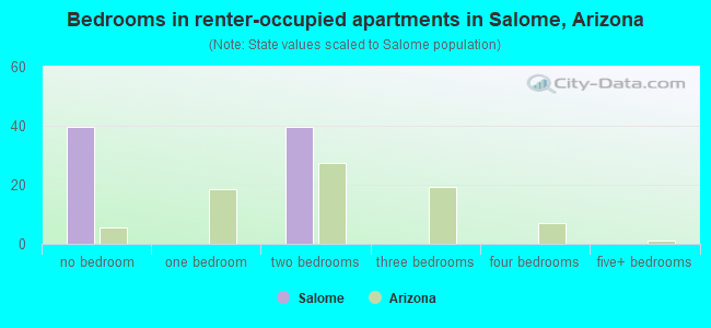 Bedrooms in renter-occupied apartments in Salome, Arizona