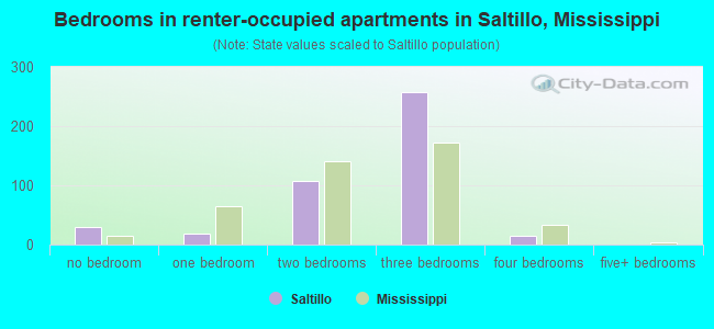 Bedrooms in renter-occupied apartments in Saltillo, Mississippi
