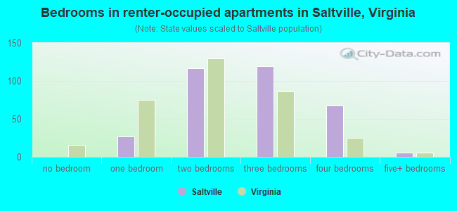 Bedrooms in renter-occupied apartments in Saltville, Virginia