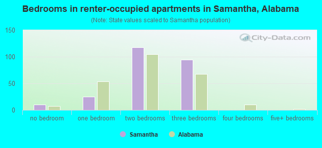Bedrooms in renter-occupied apartments in Samantha, Alabama