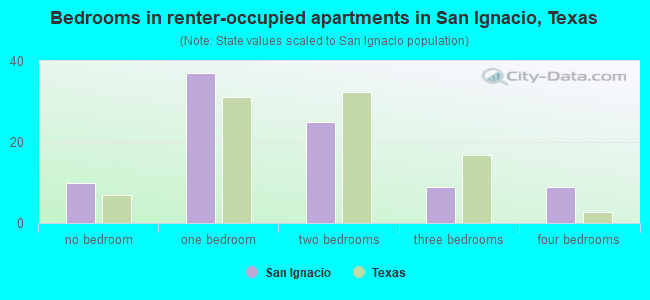 Bedrooms in renter-occupied apartments in San Ignacio, Texas