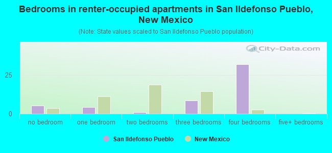 Bedrooms in renter-occupied apartments in San Ildefonso Pueblo, New Mexico
