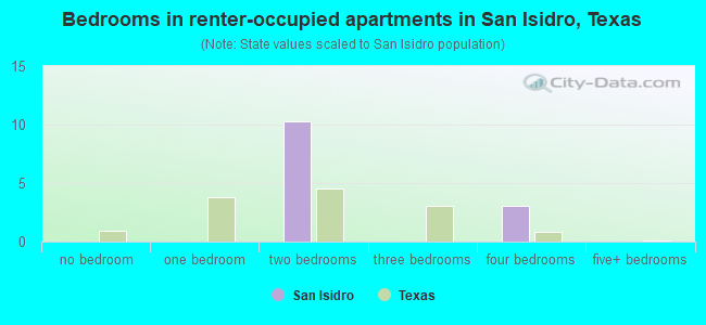 Bedrooms in renter-occupied apartments in San Isidro, Texas