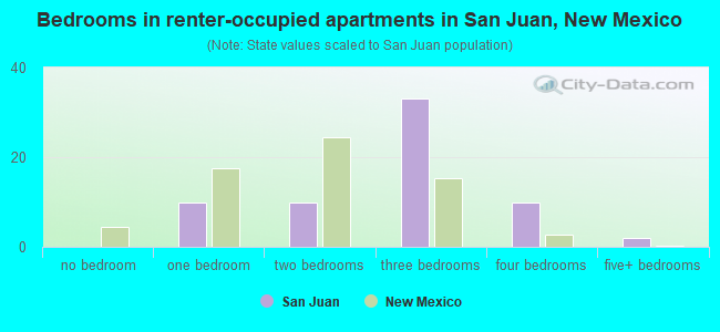 Bedrooms in renter-occupied apartments in San Juan, New Mexico