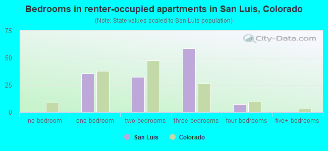 Bedrooms in renter-occupied apartments in San Luis, Colorado