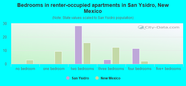 Bedrooms in renter-occupied apartments in San Ysidro, New Mexico
