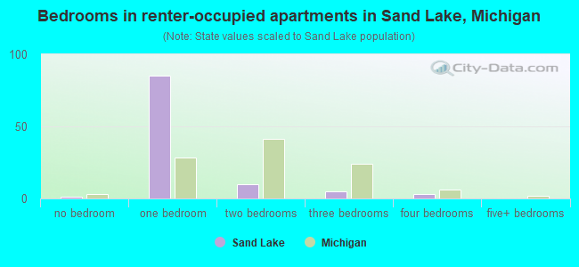 Bedrooms in renter-occupied apartments in Sand Lake, Michigan