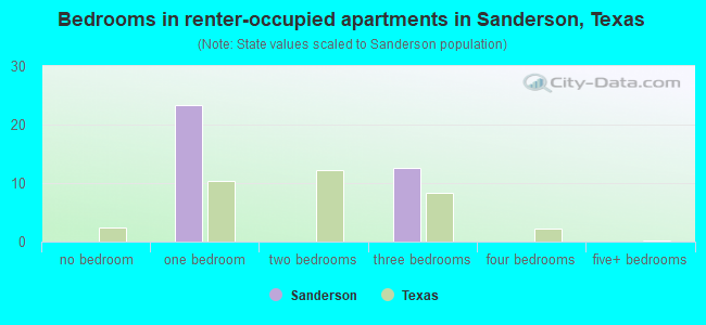 Bedrooms in renter-occupied apartments in Sanderson, Texas