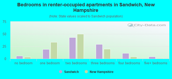 Bedrooms in renter-occupied apartments in Sandwich, New Hampshire