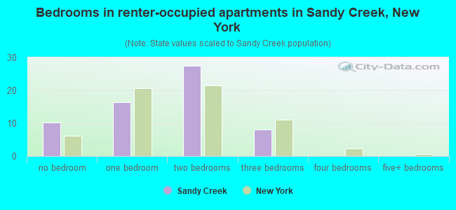Bedrooms in renter-occupied apartments in Sandy Creek, New York