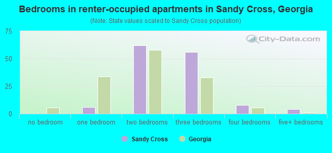 Bedrooms in renter-occupied apartments in Sandy Cross, Georgia