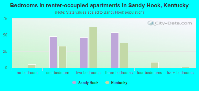 Bedrooms in renter-occupied apartments in Sandy Hook, Kentucky