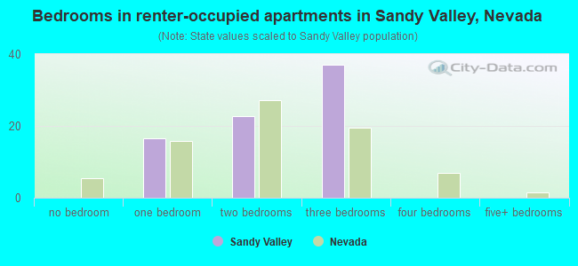 Bedrooms in renter-occupied apartments in Sandy Valley, Nevada