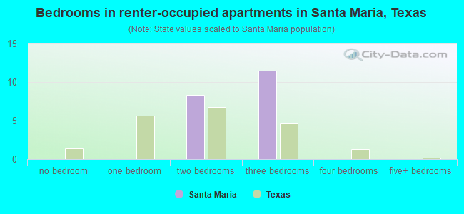 Bedrooms in renter-occupied apartments in Santa Maria, Texas