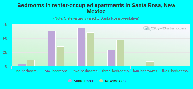 Bedrooms in renter-occupied apartments in Santa Rosa, New Mexico