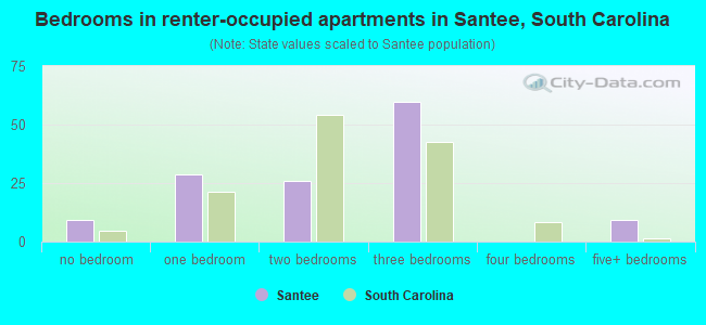 Bedrooms in renter-occupied apartments in Santee, South Carolina