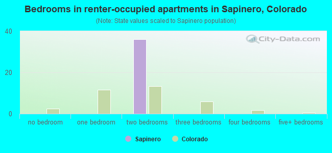 Bedrooms in renter-occupied apartments in Sapinero, Colorado