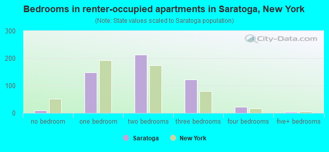 Bedrooms in renter-occupied apartments in Saratoga, New York