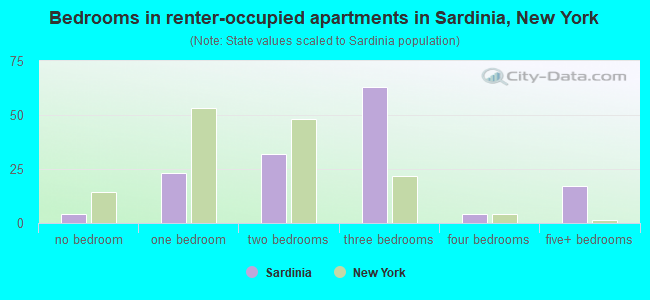 Bedrooms in renter-occupied apartments in Sardinia, New York