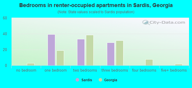 Bedrooms in renter-occupied apartments in Sardis, Georgia