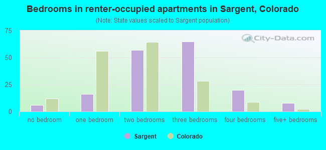 Bedrooms in renter-occupied apartments in Sargent, Colorado