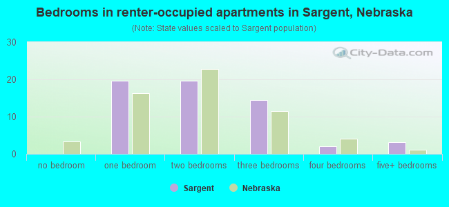 Bedrooms in renter-occupied apartments in Sargent, Nebraska