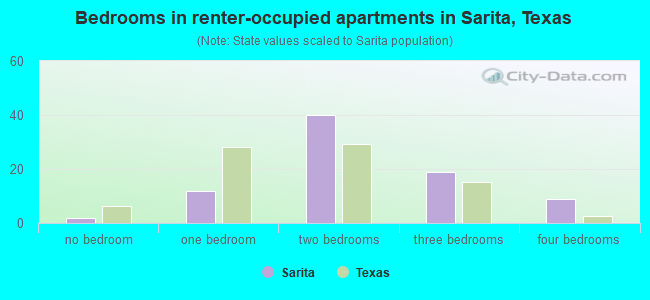 Bedrooms in renter-occupied apartments in Sarita, Texas