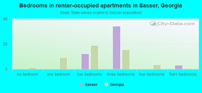 Bedrooms in renter-occupied apartments in Sasser, Georgia