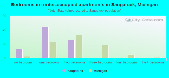 Bedrooms in renter-occupied apartments in Saugatuck, Michigan