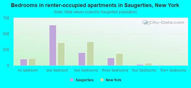 Bedrooms in renter-occupied apartments in Saugerties, New York