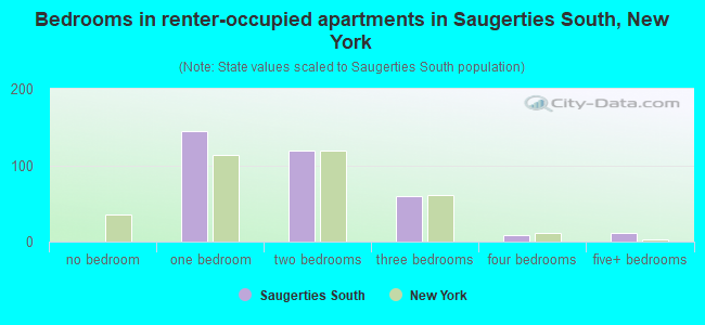 Bedrooms in renter-occupied apartments in Saugerties South, New York