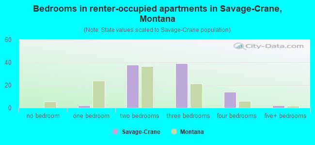 Bedrooms in renter-occupied apartments in Savage-Crane, Montana
