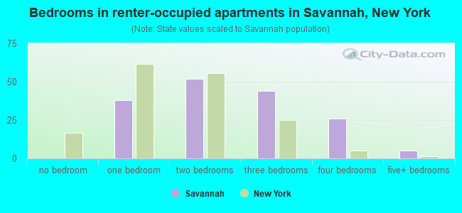 Bedrooms in renter-occupied apartments in Savannah, New York