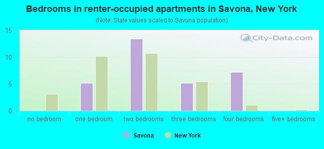 Bedrooms in renter-occupied apartments in Savona, New York