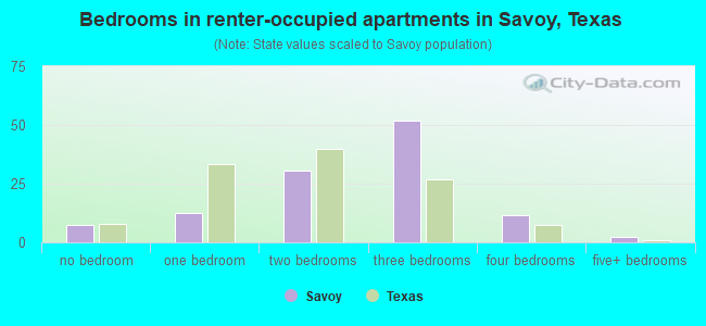 Bedrooms in renter-occupied apartments in Savoy, Texas