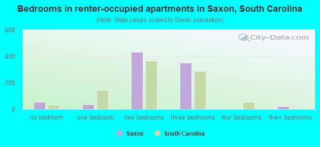 Bedrooms in renter-occupied apartments in Saxon, South Carolina