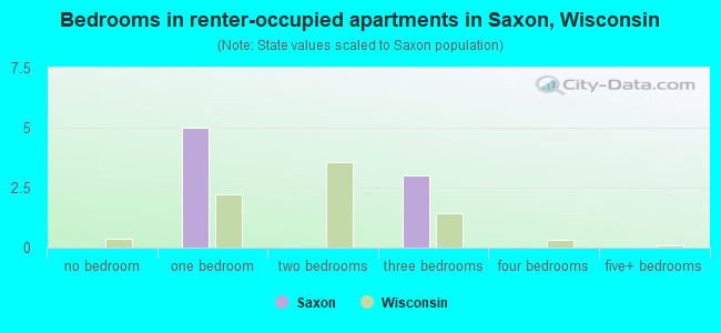 Bedrooms in renter-occupied apartments in Saxon, Wisconsin