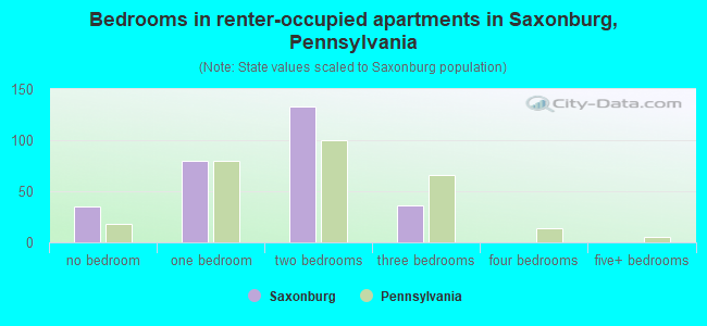 Bedrooms in renter-occupied apartments in Saxonburg, Pennsylvania