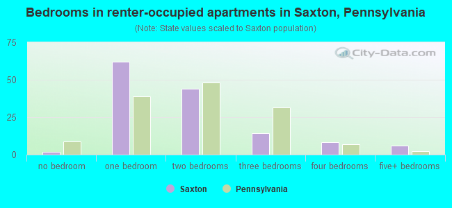 Bedrooms in renter-occupied apartments in Saxton, Pennsylvania