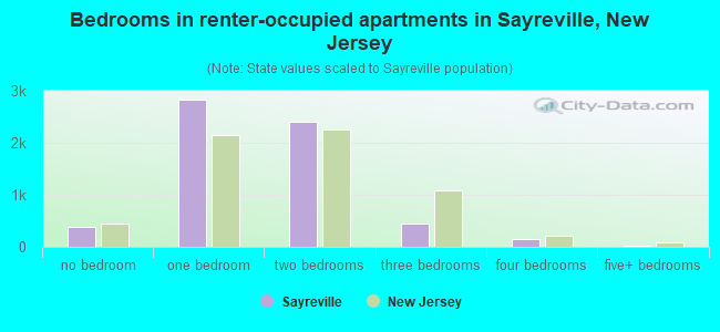 Bedrooms in renter-occupied apartments in Sayreville, New Jersey