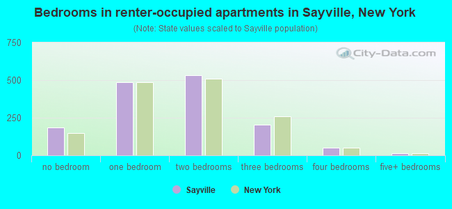 Bedrooms in renter-occupied apartments in Sayville, New York