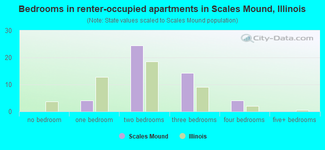 Bedrooms in renter-occupied apartments in Scales Mound, Illinois