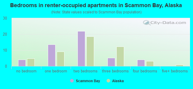 Bedrooms in renter-occupied apartments in Scammon Bay, Alaska