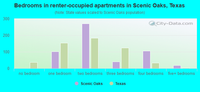 Bedrooms in renter-occupied apartments in Scenic Oaks, Texas
