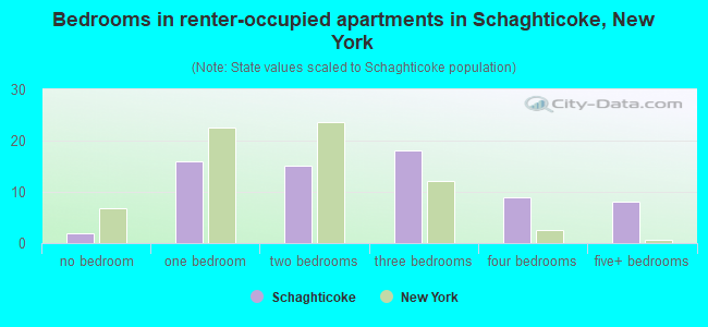 Bedrooms in renter-occupied apartments in Schaghticoke, New York