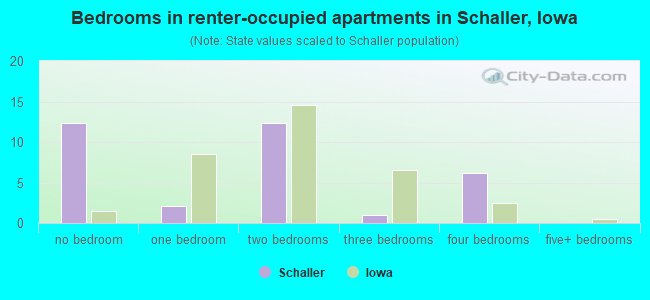 Bedrooms in renter-occupied apartments in Schaller, Iowa