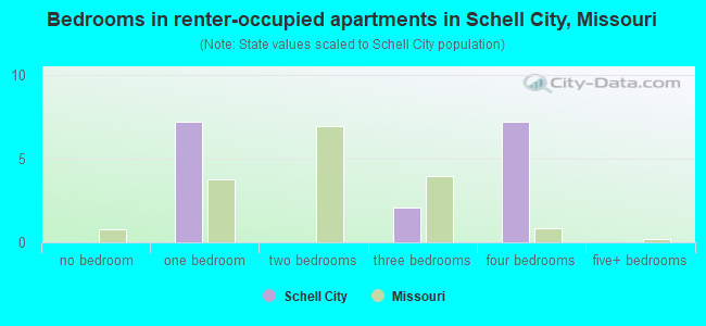 Bedrooms in renter-occupied apartments in Schell City, Missouri