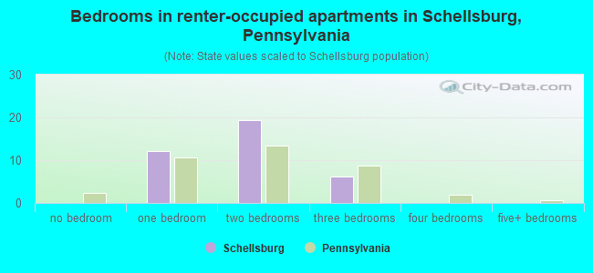 Bedrooms in renter-occupied apartments in Schellsburg, Pennsylvania