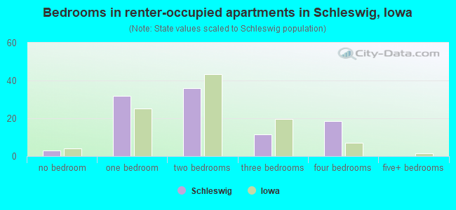 Bedrooms in renter-occupied apartments in Schleswig, Iowa
