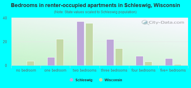 Bedrooms in renter-occupied apartments in Schleswig, Wisconsin